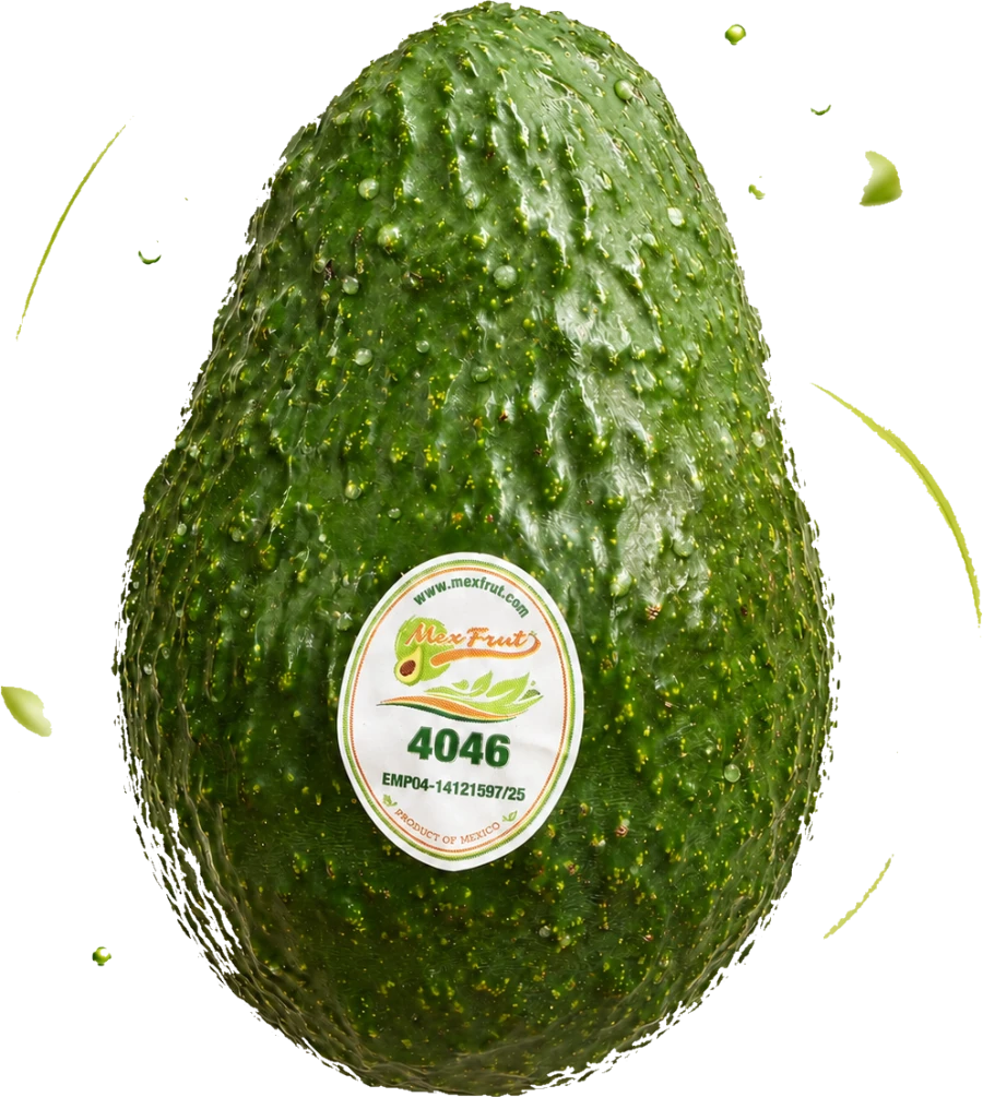 Aguacate Hass mexicano MexFrut con sello 4046, producto de México