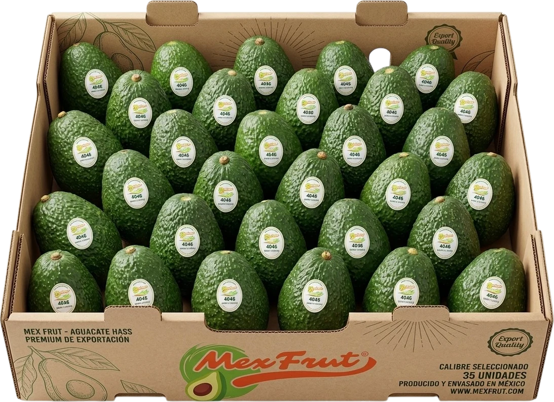 Caja de aguacate Hass Premium de exportación MexFrut — 35 unidades, calibre seleccionado, producido y envasado en México