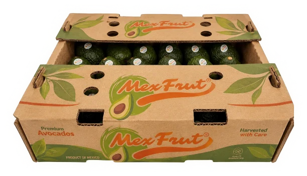 Caja de cartón de 6 kg de aguacate Hass MexFrut lista para exportación