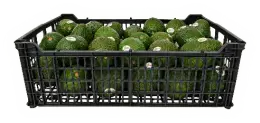 Caja de plástico de 10 kg de aguacate Hass MexFrut