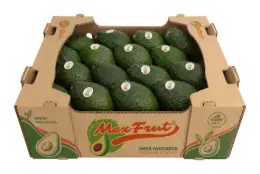 Caja de cartón de 4 kg de aguacate Hass MexFrut