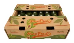 Caja de cartón de 6 kg de aguacate Hass MexFrut