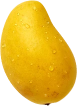 Mango Ataulfo de exportación MexFrut
