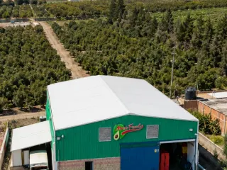 Vista aérea de la empacadora Mexfrut en Zapotiltic rodeada de huertos de aguacate