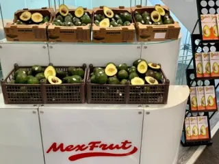 Exhibición de aguacate Hass mexicano en el stand de Mexfrut