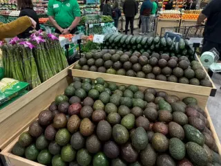 Exhibidor de aguacate Hass en el piso de venta durante el tour de supermercado de IFPA 2025