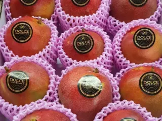 Mango de exportación marca Dolce Imperiale en caja lista para embarque