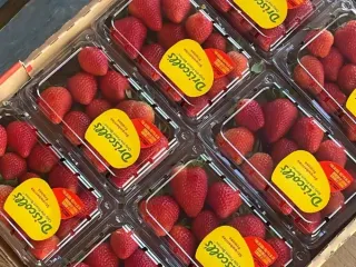 Cajas de fresa en presentación de exportación