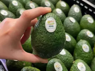 Aguacate Hass etiquetado 4046 sobre una arpilla lista para empaque
