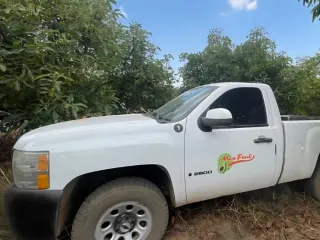 Pick-up Mexfrut en el huerto durante la operación de recolección