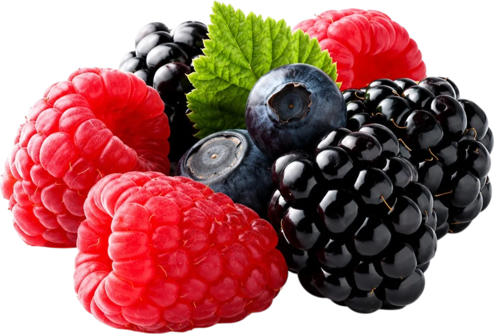 Frutos rojos mexicanos de exportación: frambuesas, arándanos y moras