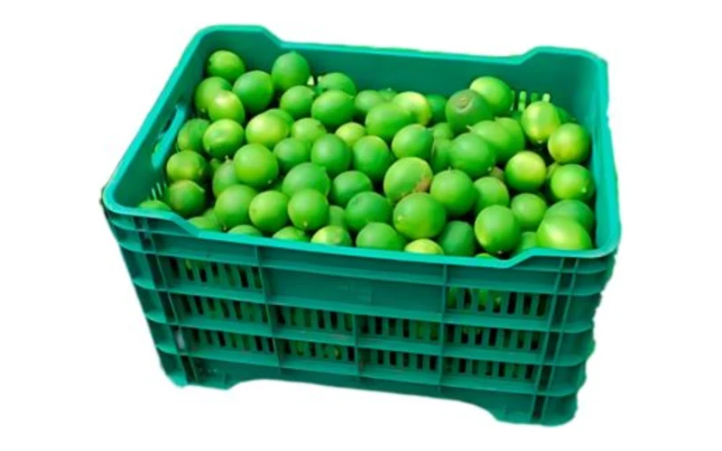 Caja de plástico ventilada con limón mexicano a granel