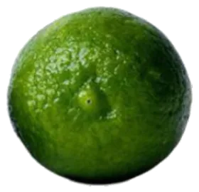 Limón mexicano de exportación calibre 300, la pieza de mayor tamaño