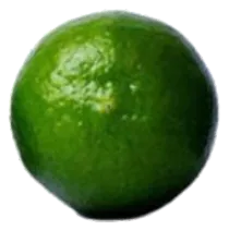 Limón mexicano de exportación calibre 550