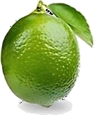 Limón persa mexicano de exportación — calibre 150, 150 piezas por caja